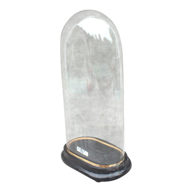 Antique Oval Glass Dome 15.16 X 7.09 X 3.94 Special Size Bell Jar Victorian Era 38,5 X 18 X 10 Cm Unique Collectible Timepiece Home Decor For Sale