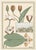 Atelier Aria Lumae Eugene Grasset Maurice Pillard Verneuil Art Nouveau Botanical Specimen Grid Board Print 60 X 40 For Sale - Image 9 of 17