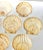 Vintage Natural Scallop Shell Serving Dishes, Coastal Set of 7 For Sale - Image 4 of 12
