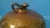 Early 20th Century Vase/Jar/Pitcher Monochromatic Minimalist Aesthetic Style Earthenware Signed For Sale - Image 4 of 9