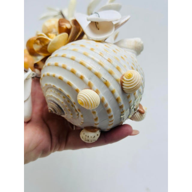 Coastal Vintage Shell Art Sculpture For Sale - Image 3 of 6