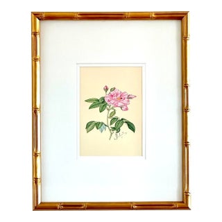 Original Hand-Painted Camellia Floral Painting, Framed For Sale