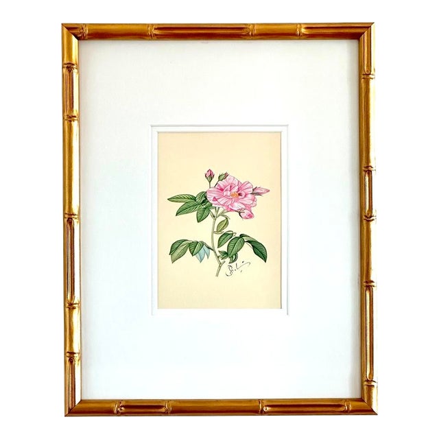 Original Hand-Painted Camellia Floral Painting, Framed For Sale