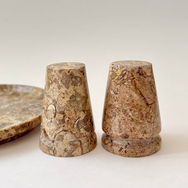 Vintage Fossil Coral Marble Condiment Set With Tray, Salt & Pepper Shakers and Toothpick Holder - Set of 4 For Sale In Miami - Image 6 of 12