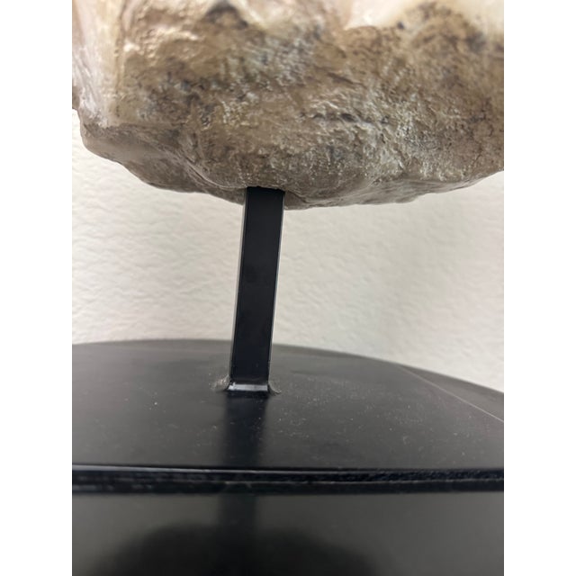 Classical Roman Rh Roman Discus Thrower Classical Sculpture Fragment on Stand For Sale - Image 3 of 12