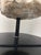 Classical Roman Rh Roman Discus Thrower Classical Sculpture Fragment on Stand For Sale - Image 3 of 12