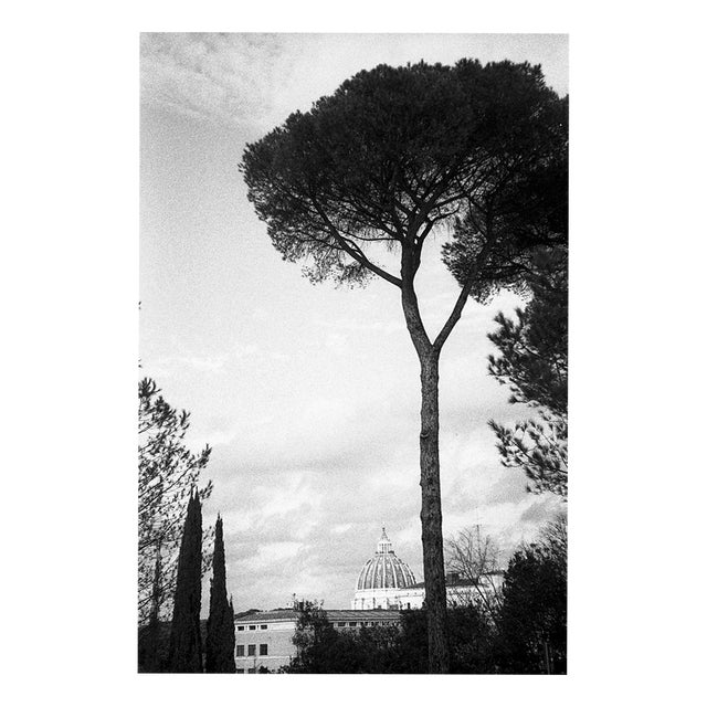 Paul Cooklin, Rome Italy 00207, Edition of 50 For Sale