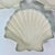 Vintage Hollywood Regency Coastal Clam Sea Shell Salad Plates, Trompe L’Oeil Style - Set of 10. For Sale - Image 16 of 16