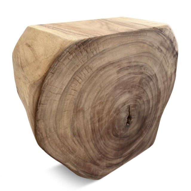 Vintage Organic Monkey Pod Side Table For Sale - Image 4 of 8
