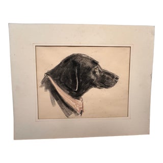 Original Charcoal Drawing by Leonard Weber (1918 - 2018) of a Black Labrador Dog For Sale