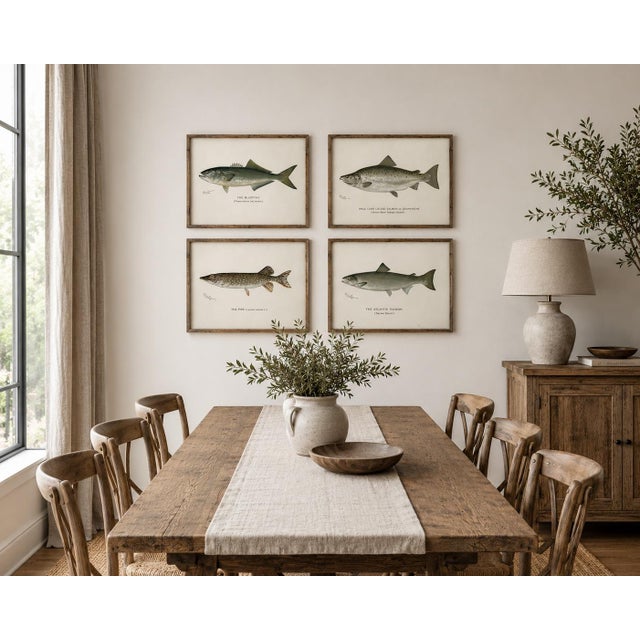 Bottle Green Bluefish, Atlantic Salmon, Pike & Landlocked Salmon - By Denton Circa 1903, S/4 For Sale - Image 8 of 8