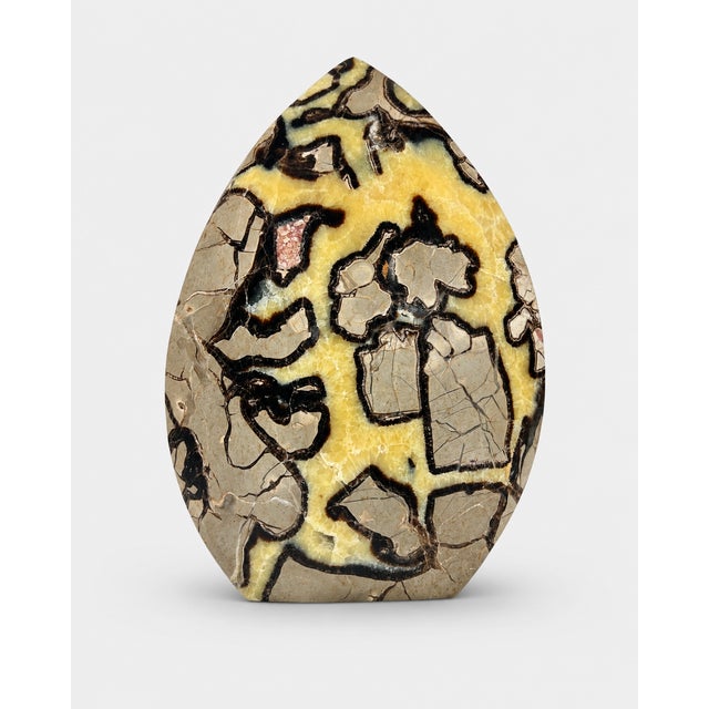 Large polished Septarian Egg with dramatic natural patterning throughout. This substantial decorative mineral measures...