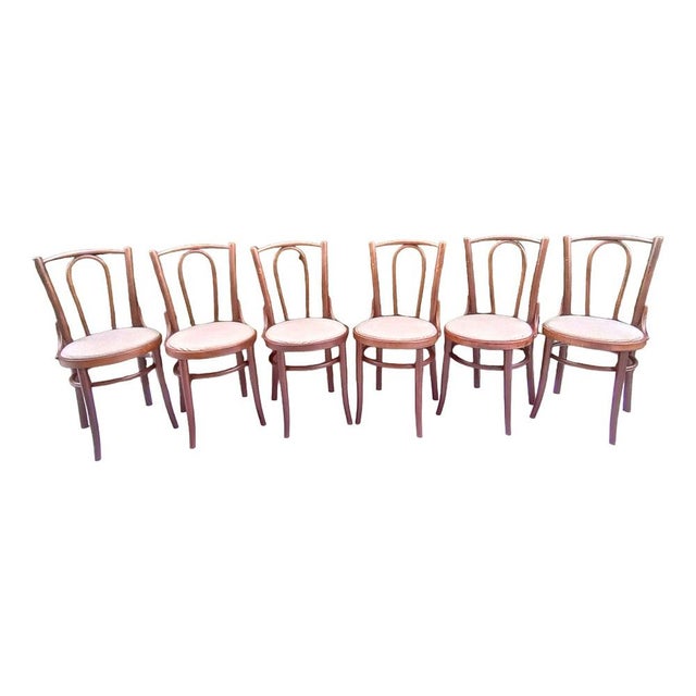 Chairs in Beech Bentwood from Tatra, 1960s, Set of 6 For Sale - Image 15 of 15