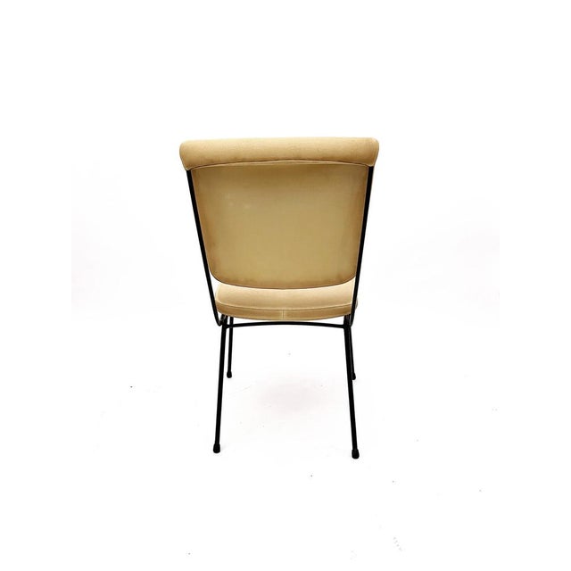 Set of DU 24 Chairs by Gastone Rinaldi for Rhyme, 1956 For Sale - Image 13 of 18