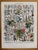 1920s Demoulin Et Frères, Illustrated Plate on Medicinal Plants, 1920s, Engraving and Paper For Sale - Image 5 of 5