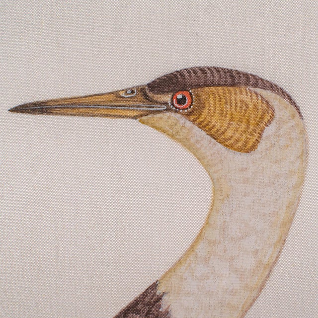 1900's Pair of Antique Bird Paintings For Sale - Image 10 of 11