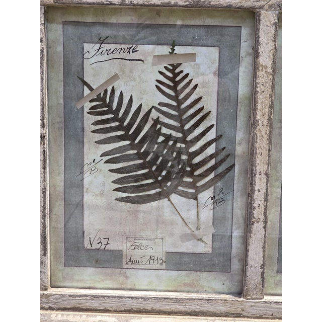 Decorative Panel with Framed Botanical Composition, 1920s For Sale - Image 11 of 14