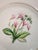 Metal Antique Worcester Royal Porcelain Works Botanical Dessert Plates Set of 6 For Sale - Image 7 of 12