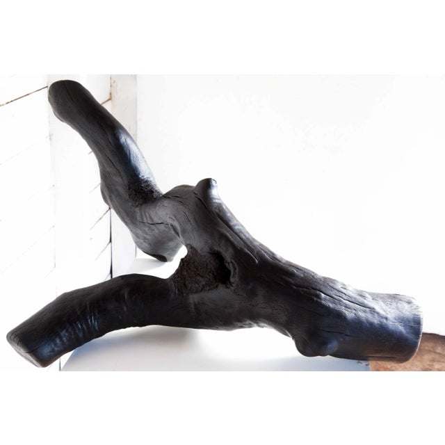 Surface Tension Wabi Sabi Black Oak Shou Sugi Ban Sculpture For Sale - Image 4 of 9