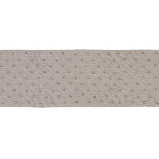 Sample - Schumacher Northern Lights Beaded Tape in Grey For Sale