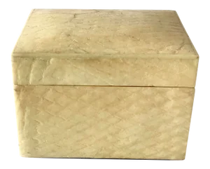 1960s Snake Skin Covered Box