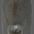 Mid 20th Century Hand Carved Iron Wood African Sculpture Tribal Art Bust For Sale - Image 4 of 10
