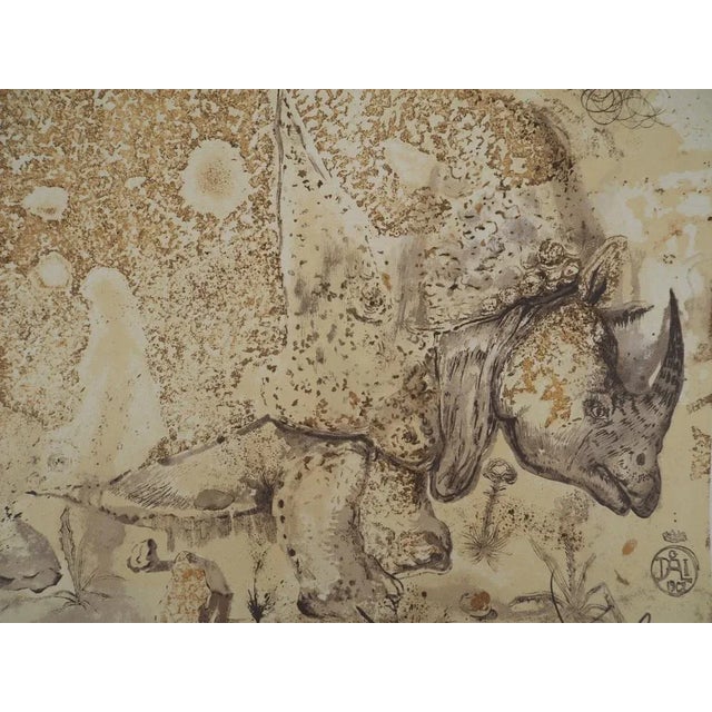 Salvador Dali, Rhinoceros, Homage to Albrecht Dürer, Lithograph For Sale - Image 4 of 10