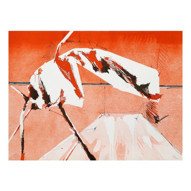 Dimitri Petrov "Peace Array" Lithograph For Sale