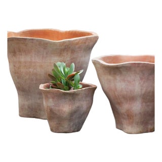 Fox Glove Terra Cotta Planters, Set of 3 For Sale