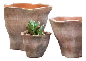 Fox Glove Terra Cotta Planters, Set of 3