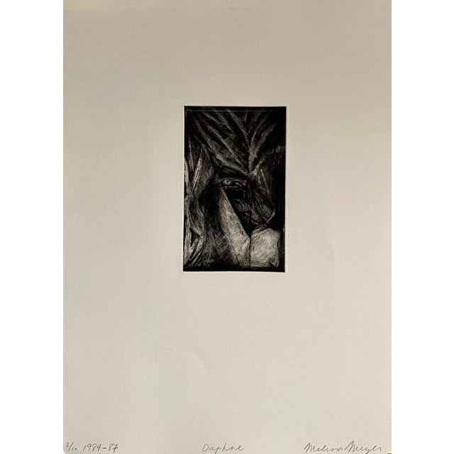 Abstract Expressionism Melissa Meyer American Abstract Expressionist Artist Melissa Meyer Aquatint Etching 1984-1987 For Sale - Image 3 of 5