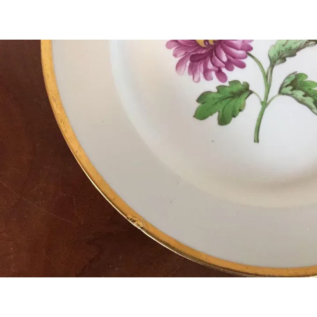Early 19th Century German Meissen Porcelain Botanical Speciment Plates - Set of 3 For Sale - Image 9 of 11