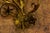 Hollywood Regency Gilt Metal Botanical Two-Light Wall Sconce, 1950s For Sale - Image 4 of 18
