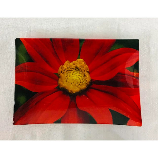 A set of three decorative plates by Prima Donna featuring red flowers 11.75ʺW × 11.75ʺD × 1ʺH