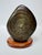 Late 20th Century Robert Dale Tsosie "Amazing Dreams" Limited Edition Bronze Pueblo Sculpture 7/35 For Sale - Image 6 of 14