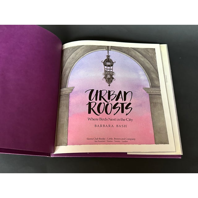 1990s New York City Urban Roosts Vintage Children's Book For Sale - Image 5 of 11