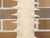 Signed Anthony Redmile Sawfish Decorative Objects Mounted on Brass Bases, 1970s For Sale - Image 10 of 12