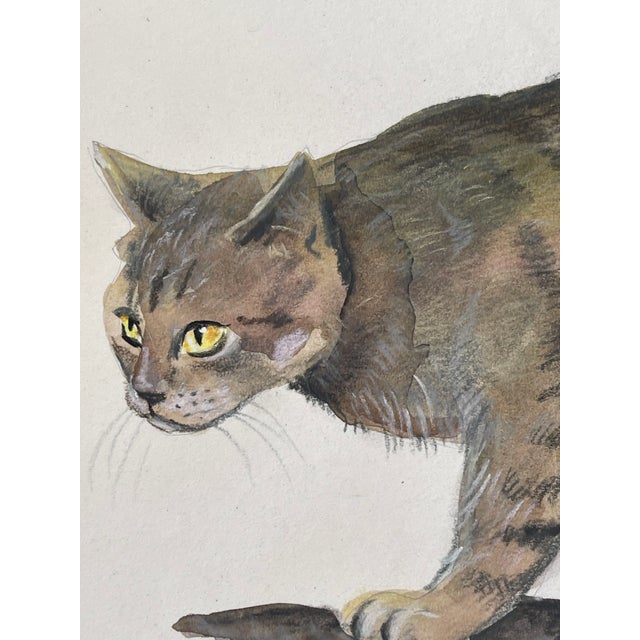 Contemporary 1960s Gorgeous Original Art Cat Pictures - Set of 6 For Sale - Image 3 of 7