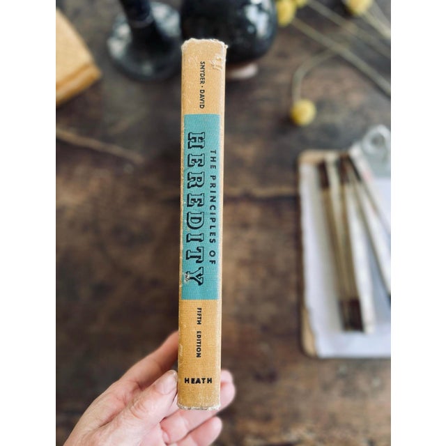 Discover the fascinating world of genetics with 1957 The Principles of Heredity. This mid century book uses clear language...