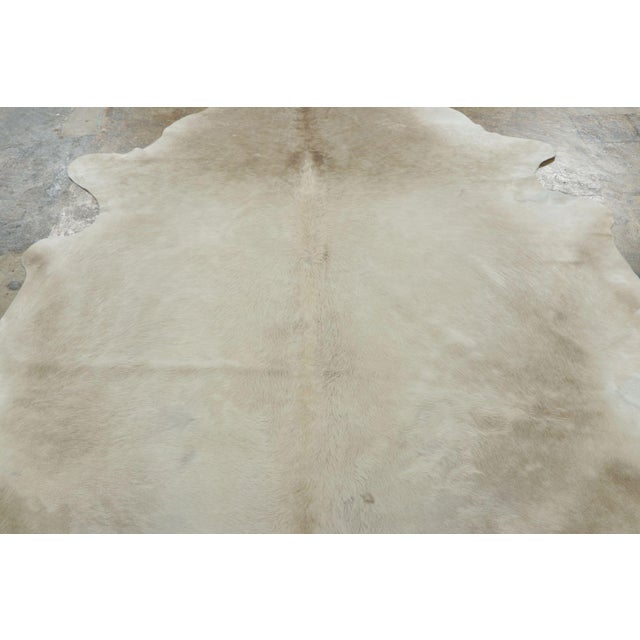 Originating from Brazil, this 7x8 premium cowhide rug is a sleek addition to Rug & Kilim’s archive. The piece beautifully...
