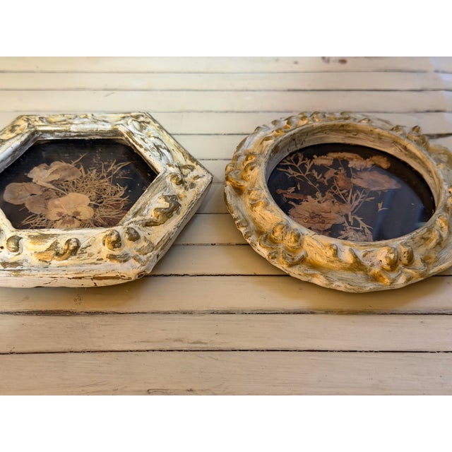 Vintage Set of Two Botanicals, Framed For Sale - Image 9 of 9