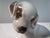 This high-quality hand-painted animal figurine (puppy dog terrier, model 1121) was designed by the German master modeller...