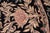 Shabby Chic Shabby Chic 1990's Floral Tulip Pak-Persian Black/Tan Wool Round Rug- 8'0'' X 8'2'' For Sale - Image 3 of 9