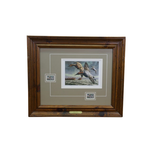 Realism 1980s 4 Ducks Unlimited Federal Duck Signed Stamp Prints Brass Plaque Pine Frame 25" - Set of 4 For Sale - Image 3 of 17