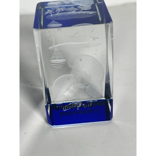 Florida Manatees glass Paperweight.