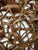 Wood Sea Creatures 3 Dimensional Wood Carving For Sale - Image 7 of 17