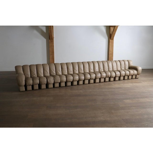 DS 600 Modular Sofa in Leather by Heinz Ulrich, Ueli Berger and Eleanora Peduzzi-Riva for de Sede, 1970s, Set of 22 For Sale - Image 6 of 12
