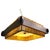 Raffia Bast, Wood and Acrylic Pendant Lamp from Temde, Switzerland, 1960s, Set of 2 For Sale - Image 12 of 12