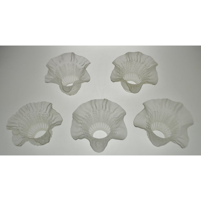 Vintage Victorian Style Ruffled Tulip Glass Lamp Shades Group of 5