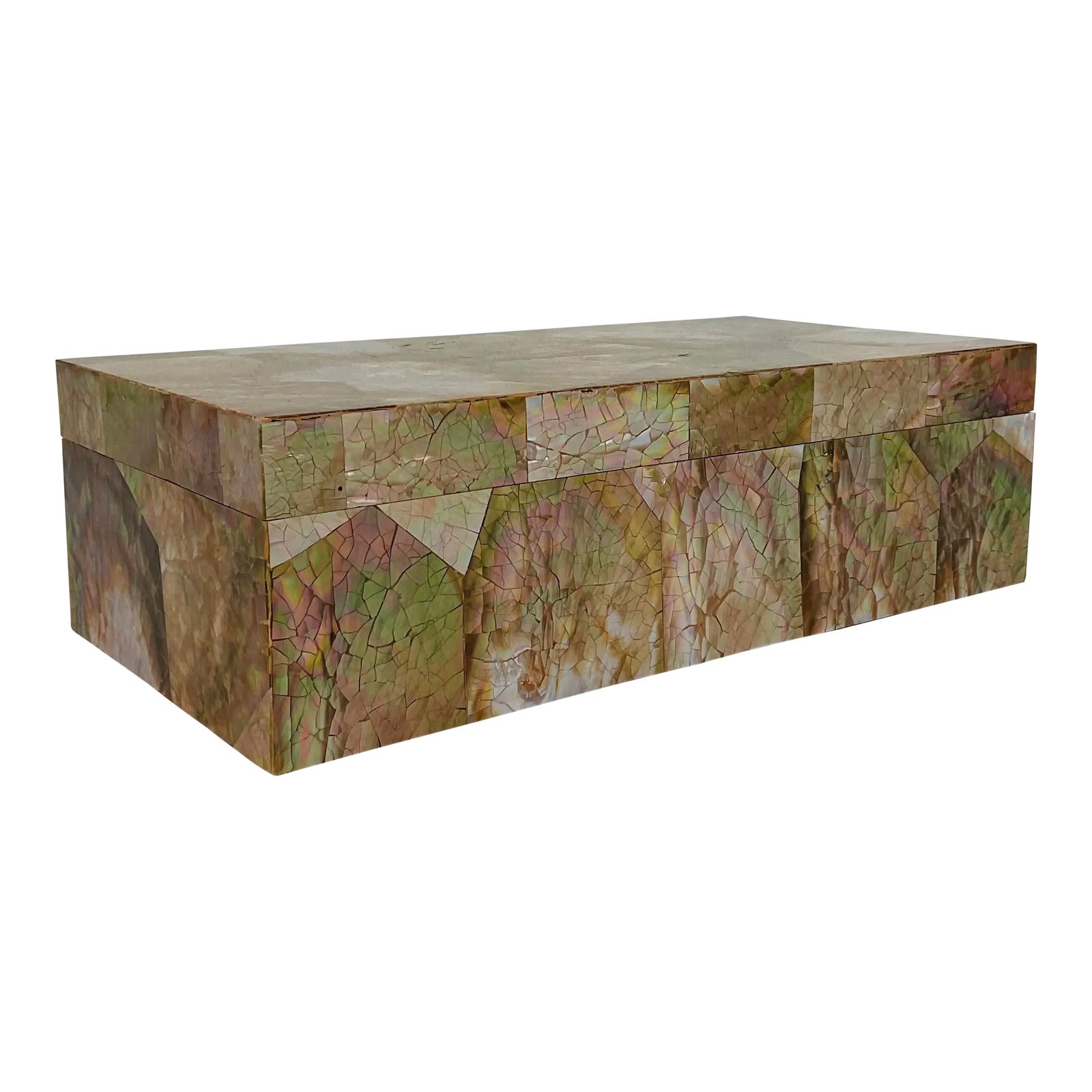 Made Goods Modern Large Brown Lip Cracked Shell Box | Chairish